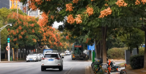 Test on the move in city